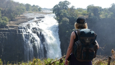 Victoria Falls Simbabwe (Alexander Mirschel)  Copyright 
Informations sur les licences disponibles sous 'Preuve des sources d'images'